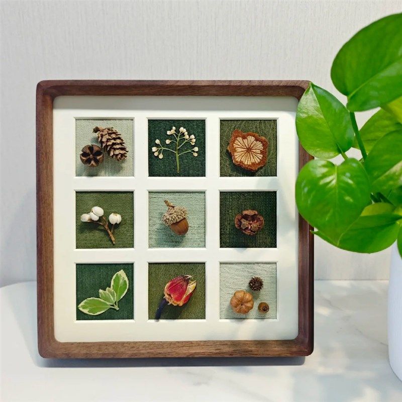 标本类立体装饰画植物树叶干花干果森系相框挂墙空框宫格手工diy
