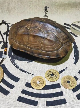 真乌龟壳精品天然完整六爻龟甲文玩摆件清乾隆通宝真品后天八卦图