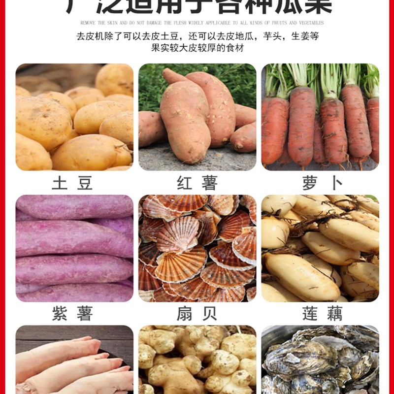 土豆清洗去皮机商用不锈钢全自动洋芋核桃果蔬莲藕红薯去皮清洗机