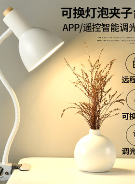 床头看书卧室书桌阅读万向软臂调光遥控夹子台灯可换灯泡老式插电