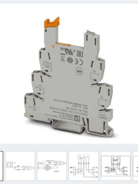 2900446 PLC-BPT- 24UC/21 底座