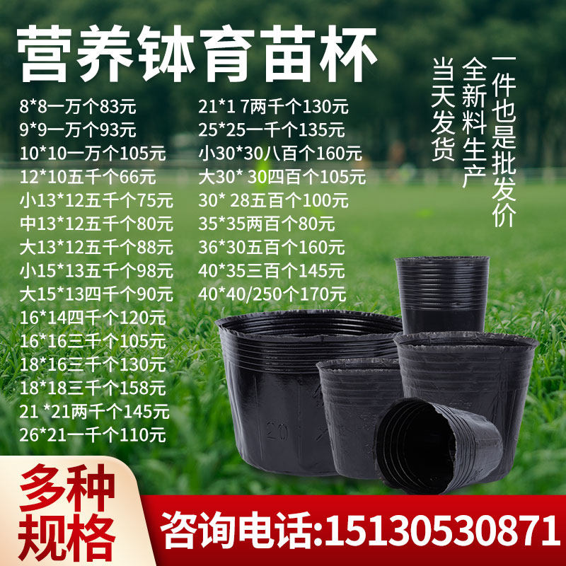营养钵育苗盆加厚营养杯育苗杯塑料育苗袋一次性营养袋黑色花盆