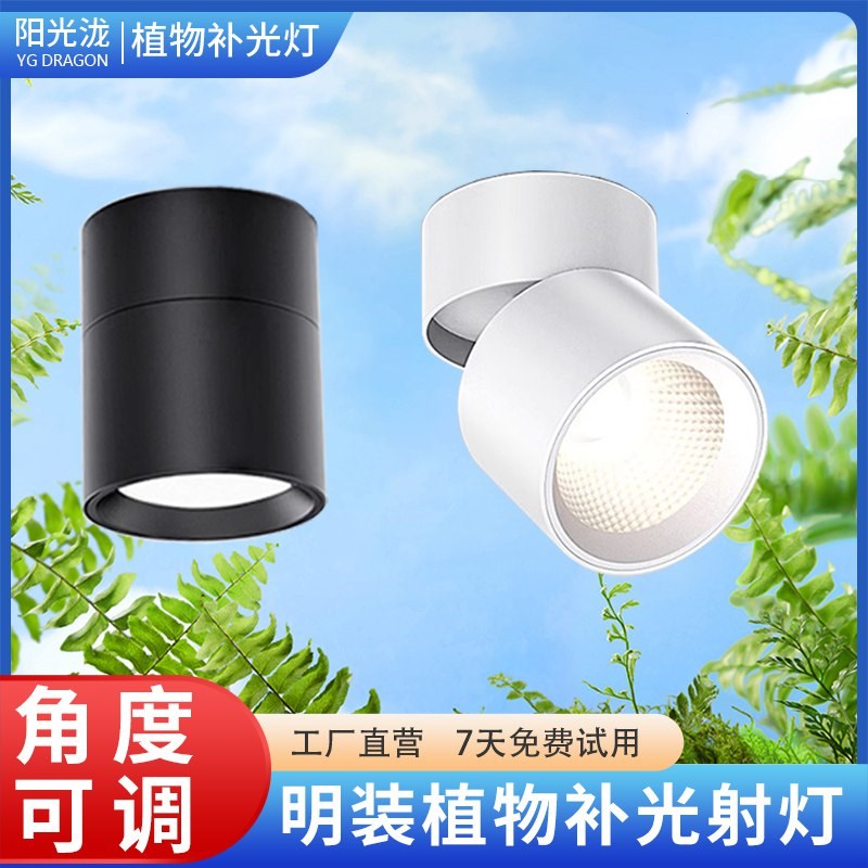 植物补光灯可调角度筒灯射灯明装可折叠免开孔绿植物墙天花全光谱