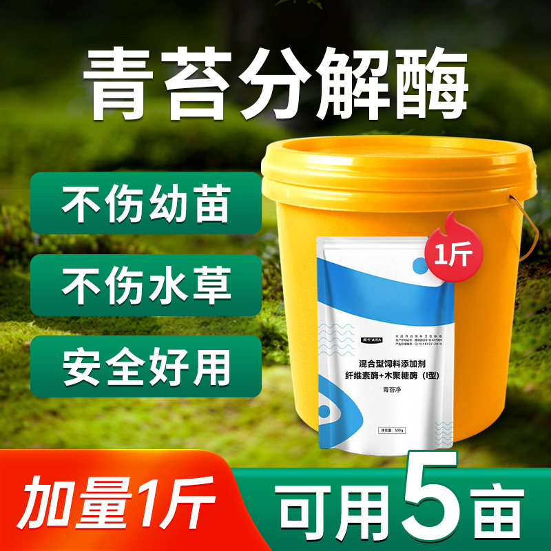 青苔分解酶水产养殖除藻剂虾塘生物青苔净不伤水草鱼虾蟹塘青苔净