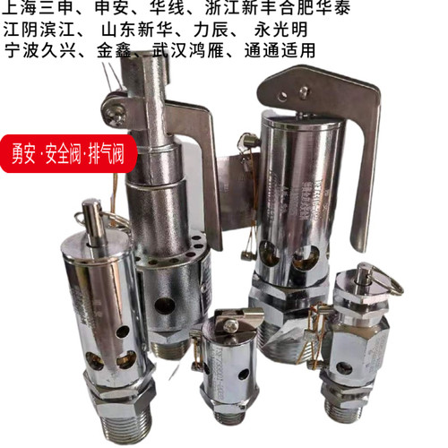 宁波勇安牌安全阀 高压蒸汽消毒灭菌锅全启式排气放气 丝扣安全阀