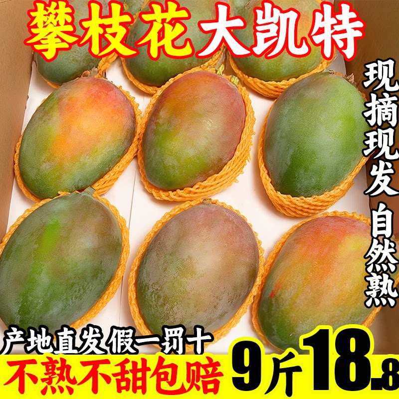 芒果攀枝花凯特芒新鲜水果10整箱5斤批发应当季包邮大青色酸野甜C