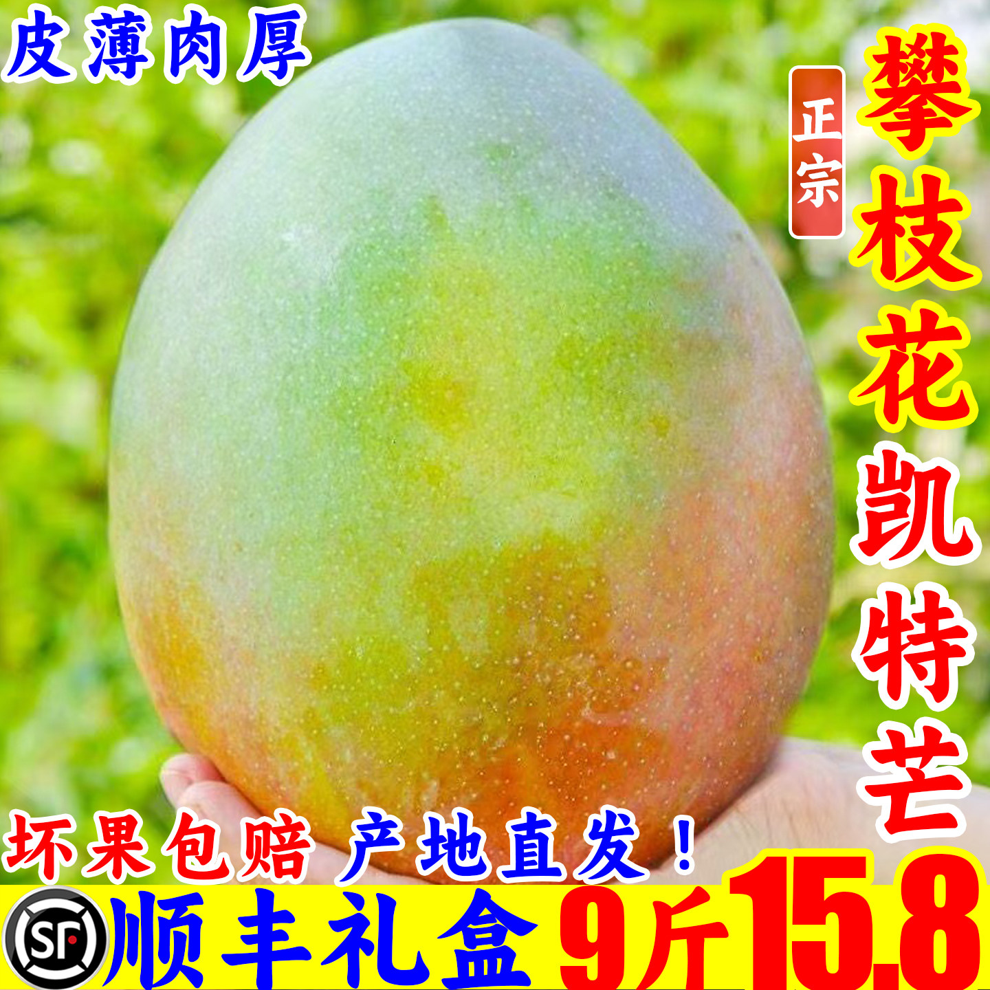 攀枝花凯特芒果新鲜水果特大正宗应当季整箱批发产地直发妃甜9斤B