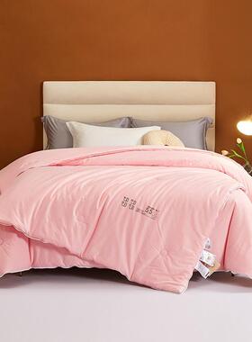 A类家用四春季大被二合一子母被生单人学宿舍豆102800纤维被芯秋