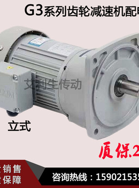 G3齿轮减速机G3LM-18/22/28/32/40立卧式带底脚带电机3HP刹车马达