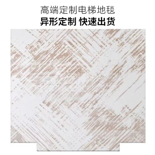 入户门厅满铺地垫定做别墅酒店轿厢电梯地毯阳台异形不规则可水洗