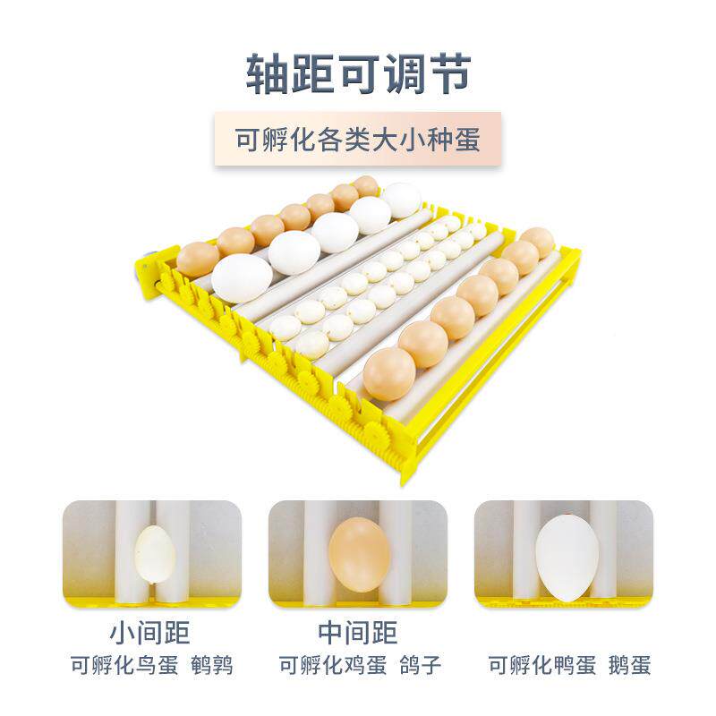 5TBH6滚枚轴全自动你孵化迷器鸡鸭一鹅鹌鹑家用孵蛋器键照蛋孵化