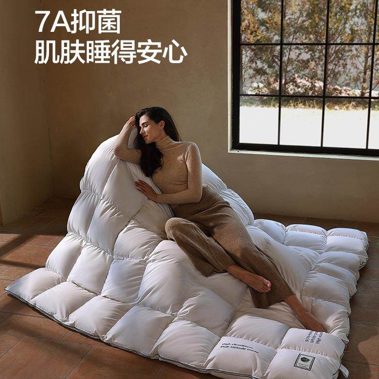 家纺匈牙F965SM5T利进口95白被鹅轻奢四季绒被羽绒春秋保暖鹅绒被