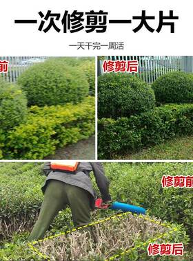 背剪负单双刃茶树修机机加长式电动绿篱充电式园林绿化篱笆IMQ修