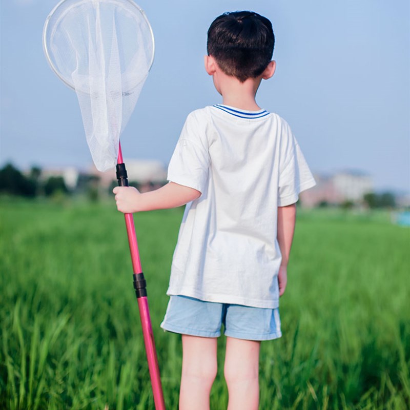 寻蝶园儿童伸缩捕虫网蝴蝶蜻蜓昆虫知了网兜 折叠彩色小捞网