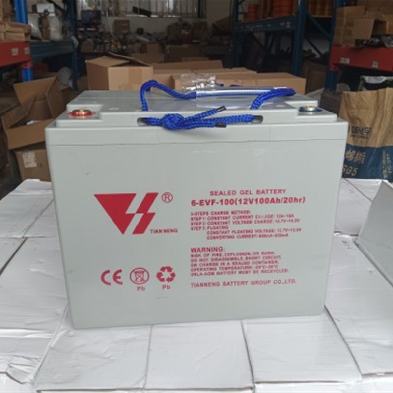 电动叉车专用电池6-EVF-100天能定制电池
