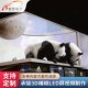 led大屏显示器裸眼3D视频素材广告片源内容全息影像动画特效制作