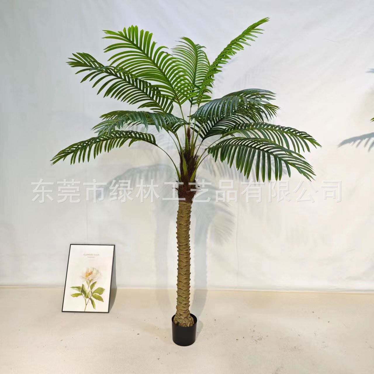 真棕扇葵ll664343椰仿树装室内盆景装饰散尾葵橱窗子饰厂家针葵