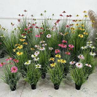 仿太真阳花盆栽婚庆020网品红室内摆件道家居装饰仿真雏菊具造景