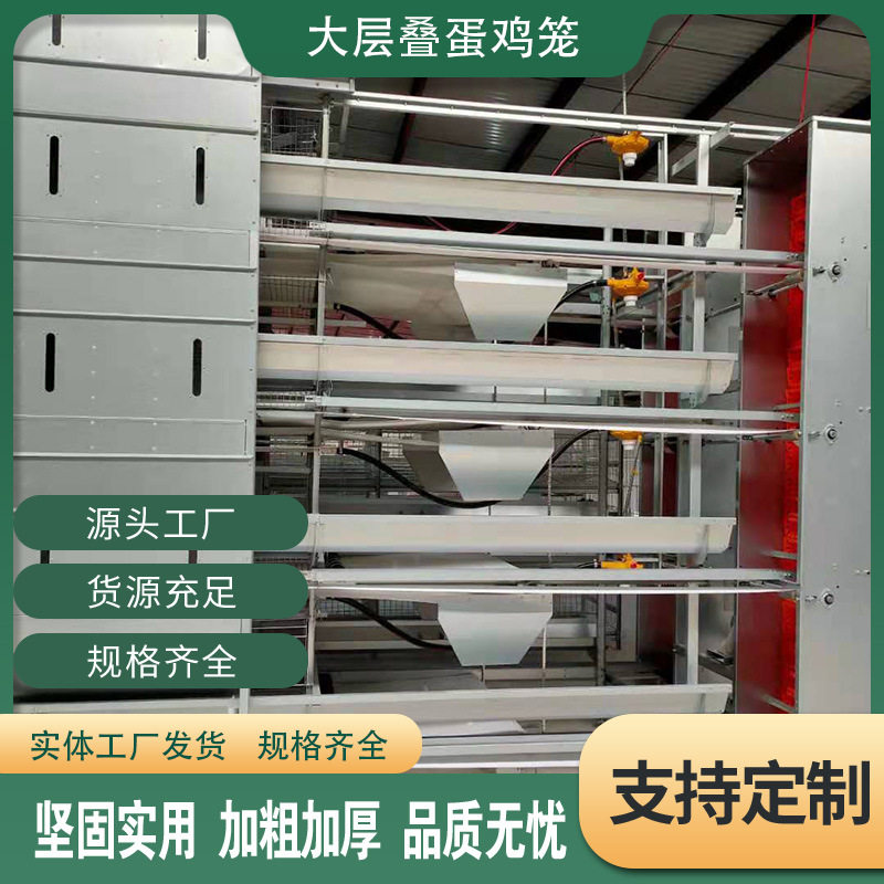 全自动阶梯蛋鸡笼养殖设备加背负式喂料机捡蛋机多层阶梯热镀