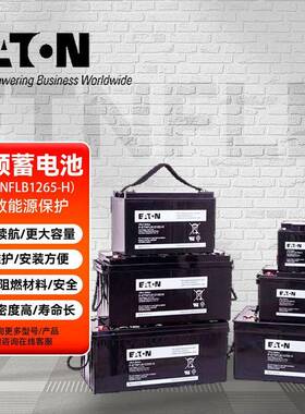 伊12V100AH顿阀控B密封式蓄电池1免维护12V00AHP-ETNFL21100-H阻