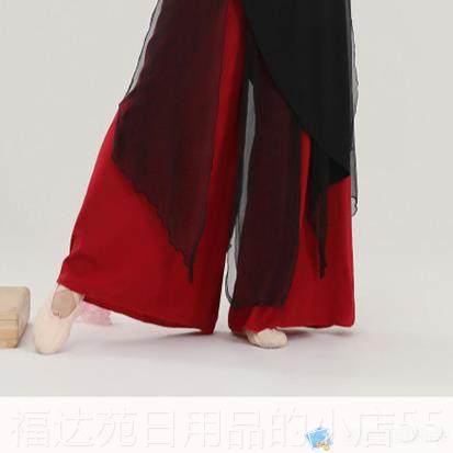 高档古典舞蹈服民功女飘逸练旗袍长款舞上衣中国风族现代蹈演出服