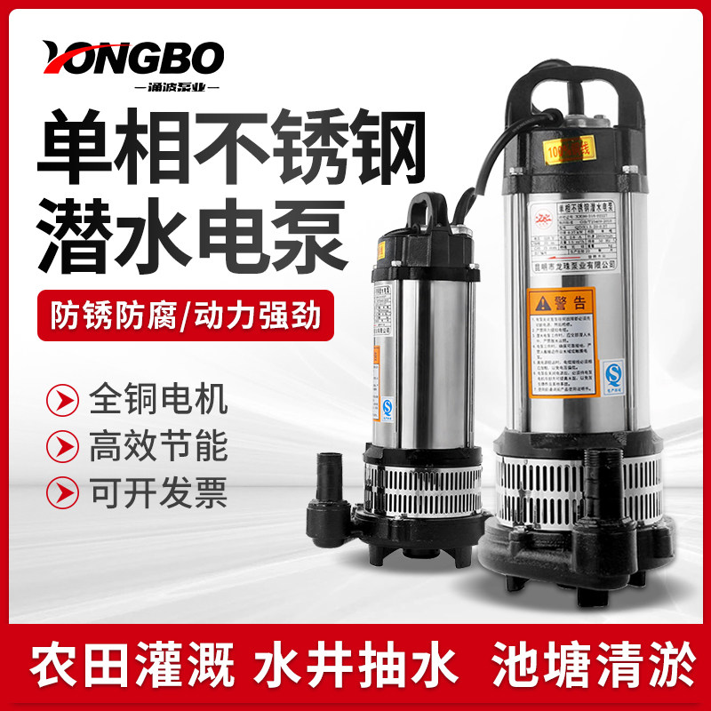 水泵家用不锈钢抽水机220V高压抽水泵农用灌溉高扬程小型潜水电泵