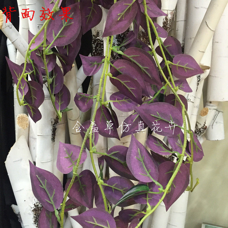 仿真绿植藤蔓壁挂厘米绢布红绿眼眉叶屋顶管道装饰植物
