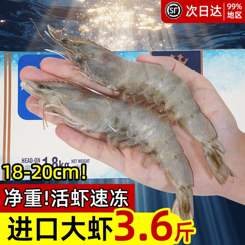 新鲜大虾厄瓜多尔白虾鲜活速冻4050南美白虾3.6斤单只水冻无冰衣
