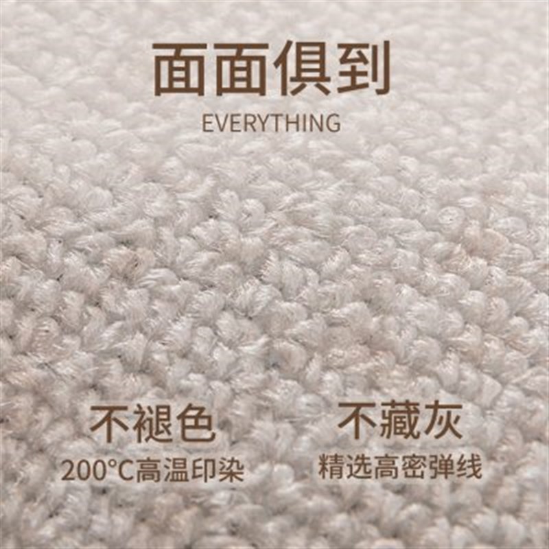 入户门地垫2024新款高级感门口门垫加厚耐脏免洗防滑别墅地毯定制