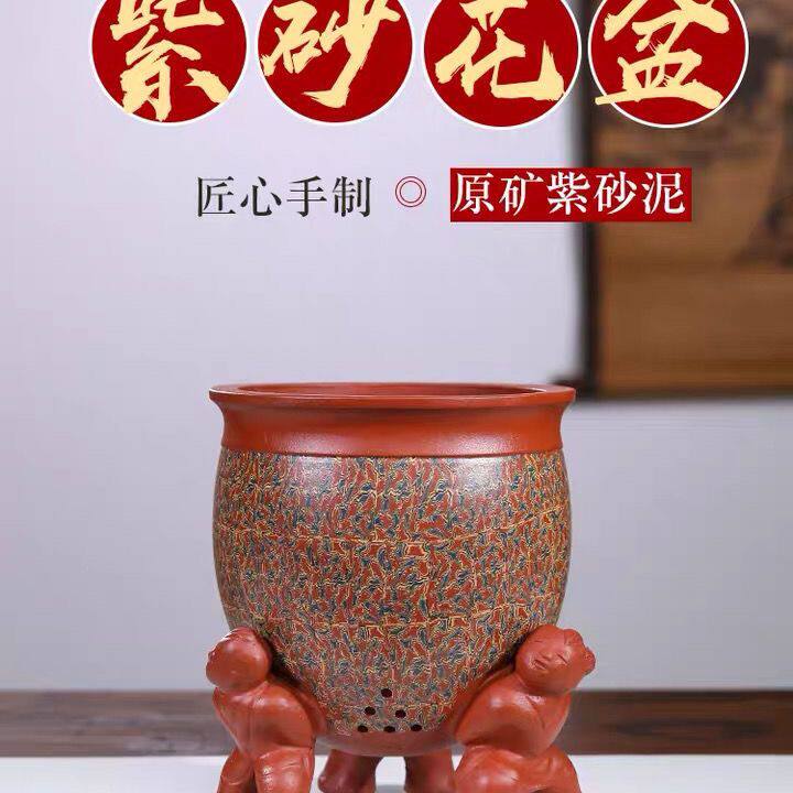 宜兴紫砂异性盆个性绞泥花盆兰花君子兰多肉老桩花盆室内绿洲花盆