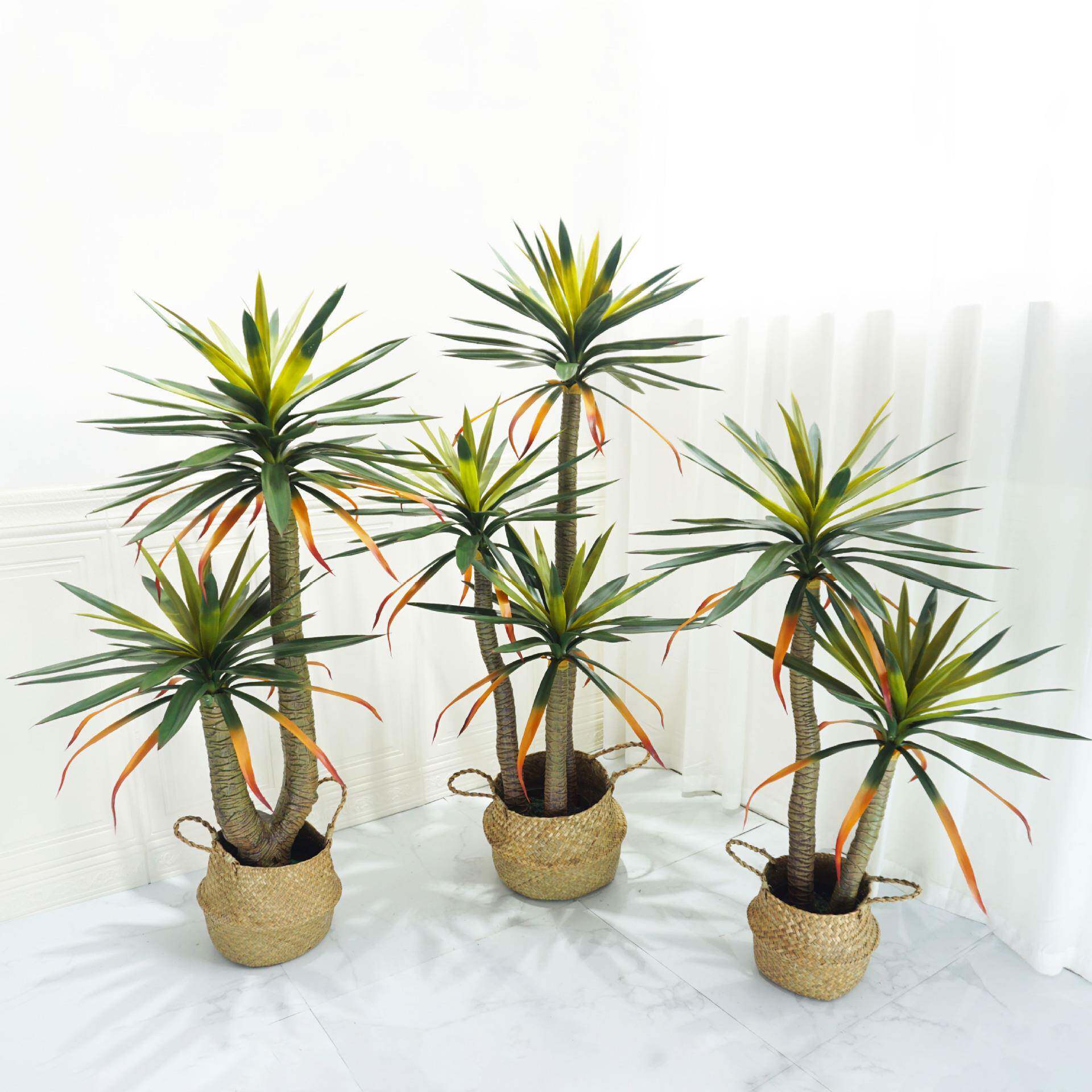 仿真植物大剑盆兰凤尾丝树2101022兰剑麻仿真绿植景造景摆件叶工