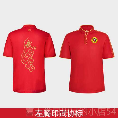 高档中式立领儿童训武术服功表演服T恤男太极练服女练短袖教练服