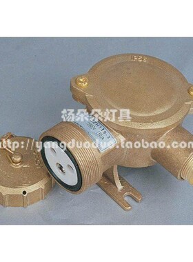 船用铜质插座CZH109 CZH119-1/-2/-3/-4/-5 10A/16A推荐直销