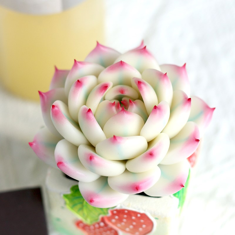 手工仿真多肉植物粘土吉娃娃锦盆栽办公室桌面小摆件高级感永生花