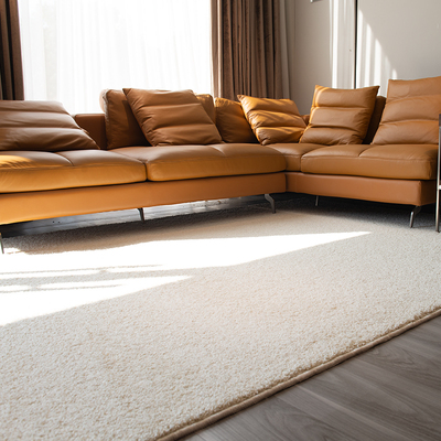 纯色素色特厚地毯客厅简约茶几毯ditn卧室房间加厚家用满铺定制