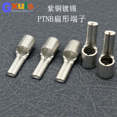 扁形裸端子PTNB10-12/16-13/25-15/35-20/50-20针形紫铜接线端子