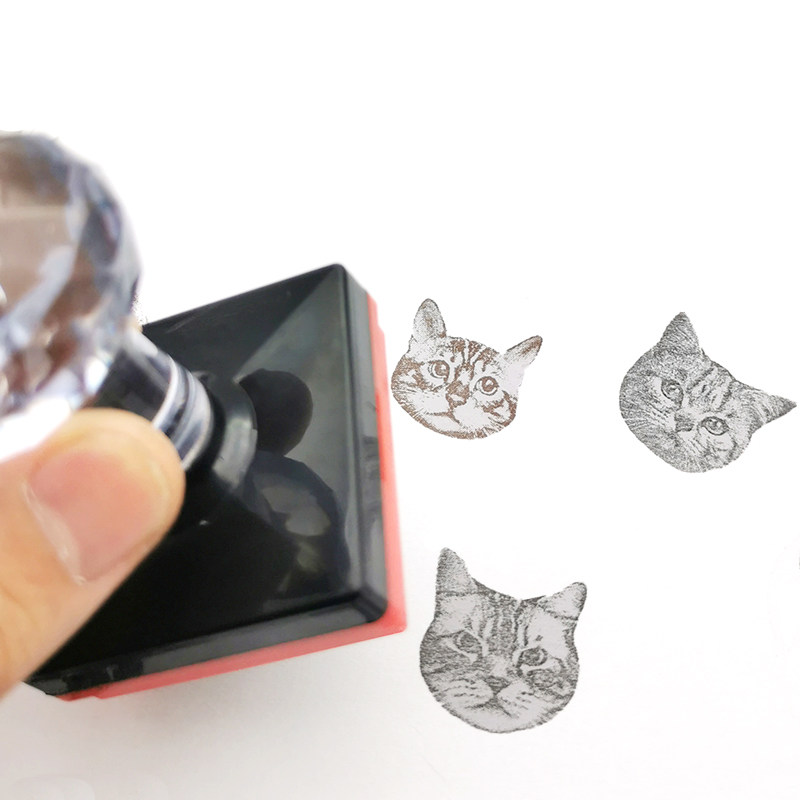 定制宠物猫咪猫头猫猫狗狗泰迪印章卡通肖像照片图案光敏印章DIY