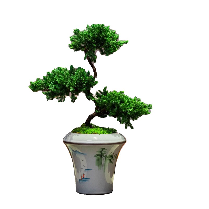 迎客松真柏造型树桌面室内高档绿植松柏文人盆景办公室中式盆栽