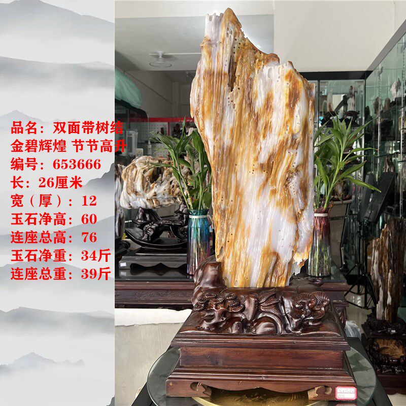 树化玉原石摆件家居客厅木化玉靠山石天然树化石书房观赏石木化石