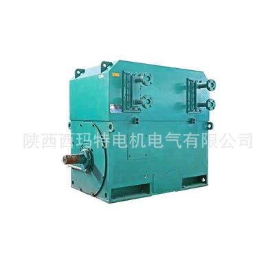 西安电机YXS6306-10极1800W6V高压鼠笼型三相异步电动机