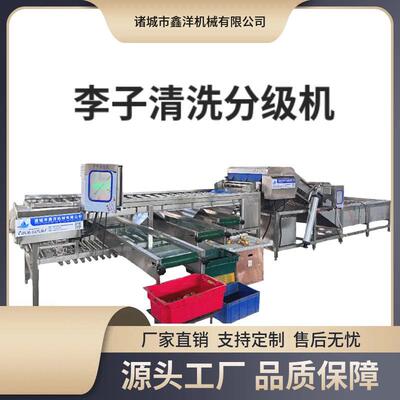 果蔬分拣设备分选机厂家食品海鲜水产在线选别机滚杠式分选机