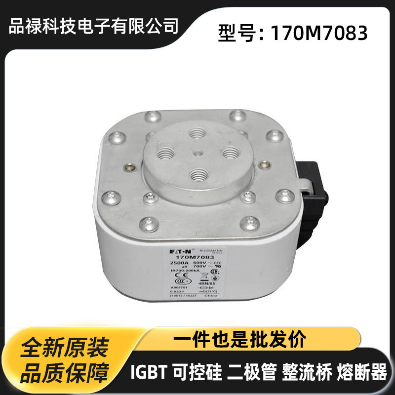 170M6902 170M6903 170M6904 170M6905进口快速熔断器 直流熔芯