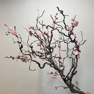 天然造天然造型型枣树枝仿真梅花树景观艺花干枝装饰枯龙假树树枝