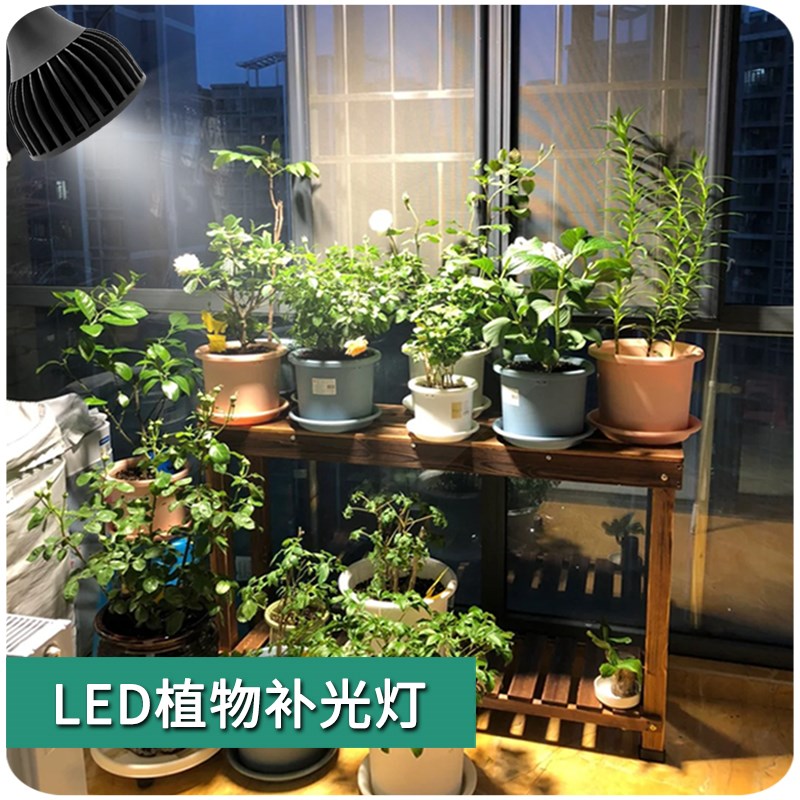 十田led鱼缸爆藻灯植物生长灯全光谱仿太阳光块根补光灯热植花卉