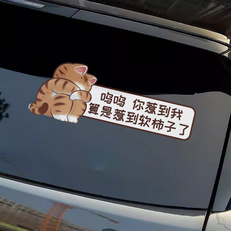 你惹到我算是惹到软柿子了汽车贴纸卡通猫咪委屈哭泣可爱改装饰