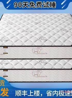 席梦思床垫济型20CM厚家用簧乳经胶椰软硬两用DSB2棕0弹25新款