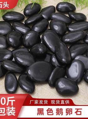 厂黑色鹅景卵石工抛光石然黑石LSF观石黑石子精品黑色雨天花石