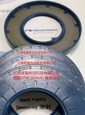 FQF国SEW兰德FLENDER减速机油封CACF弗W德BAU5SLX282-Z160-13/10
