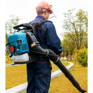 山林余火扑灭背负式力灭火机风道什威EB尔850大功鼓87340风机现率