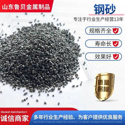 铁砂喷砂除锈工厂销抛丸机钢砂钢丸钢切丸棱角铁砂GNBg1直8丝钢砂